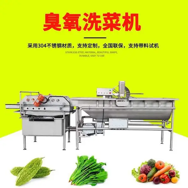 厂家批发洗菜机JY-4200净菜加工流水线配套设备 臭氧消毒洗菜机