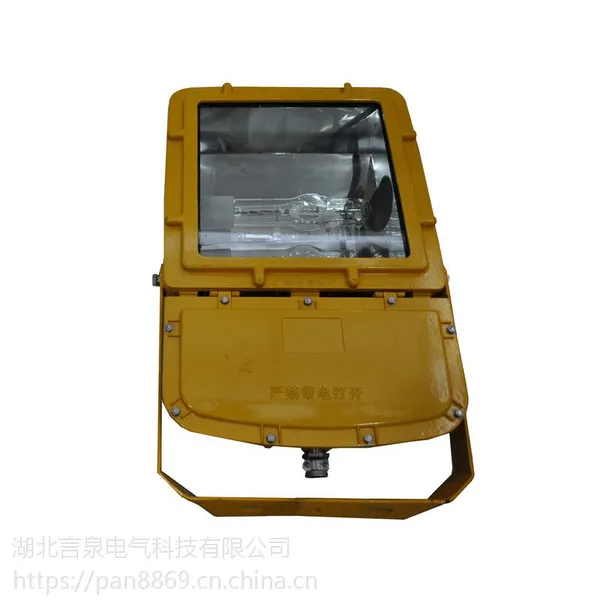 ����ǿ�ⷺ�⹤����SW7200ʯ��վ̨Ͷ���ƽ̨�ƻ�ѧ��������