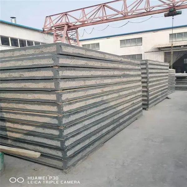 2023 ��������͸��ϰ� ���� 09CG20 �ֹǼ����ܰ� ����