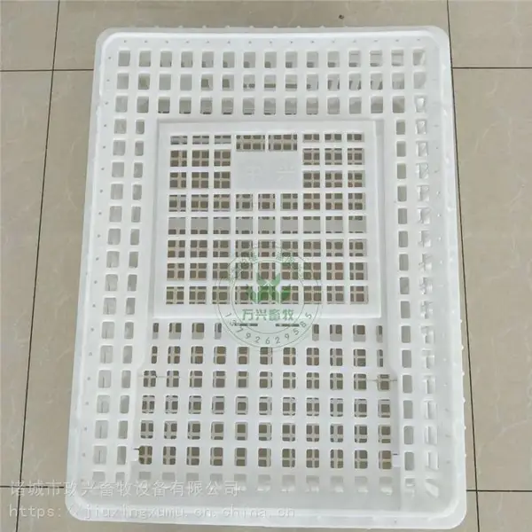 大鸡周转笼 商品鸡周转笼 拉大鸡运输箱