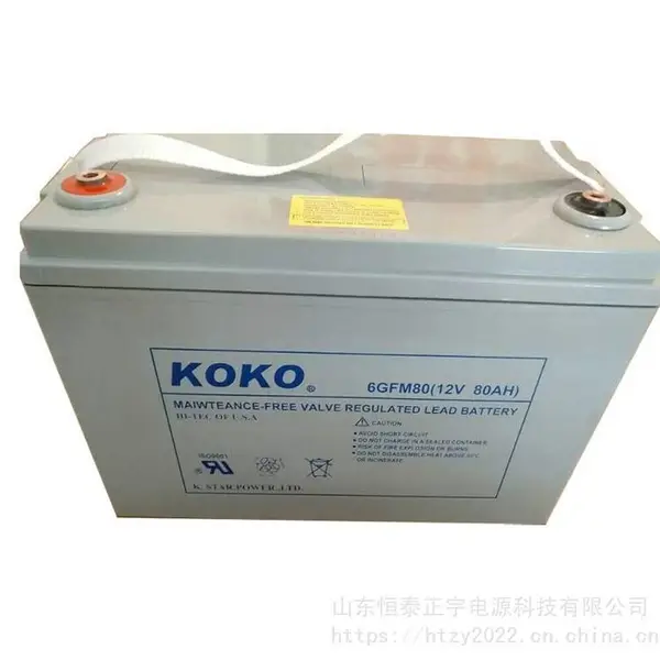 KOKO蓄电池6GFM100美国可可蓄电池12V100AH机房配电室电源