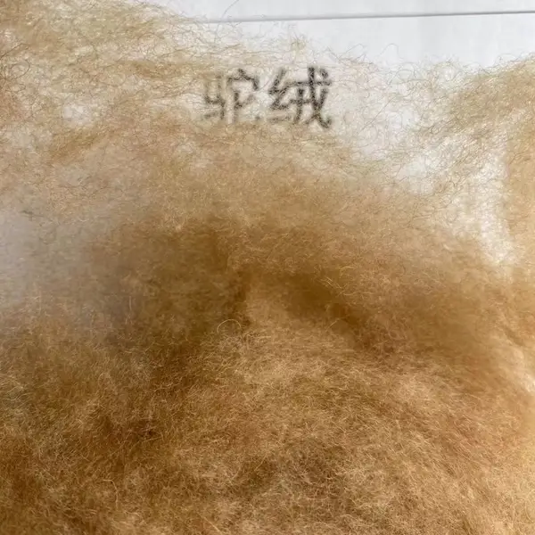 内蒙古优质驼绒 工厂直销 驼绒被 驼绒絮片