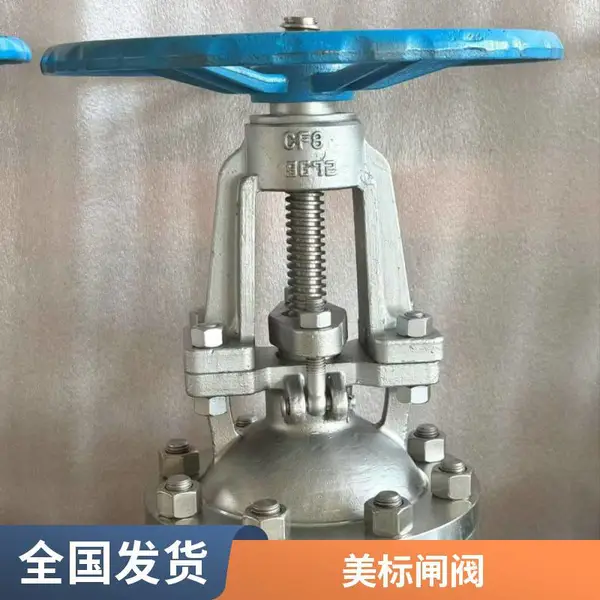 浙江温州美标不锈钢闸阀 丝扣闸门阀 耐高压1.6MPa 微型管道截断
