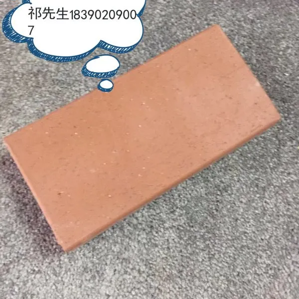 厂家直销湖南邵阳200*100系列 230*115系列烧结铺路砖透水砖 外墙砖