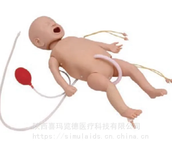 喜玛览德 ***婴儿心肺复苏模拟人