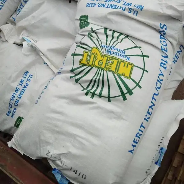 ��ƺ��Ƥ���� ��������ƺ���� ����ͥԺ�̻����� ��������