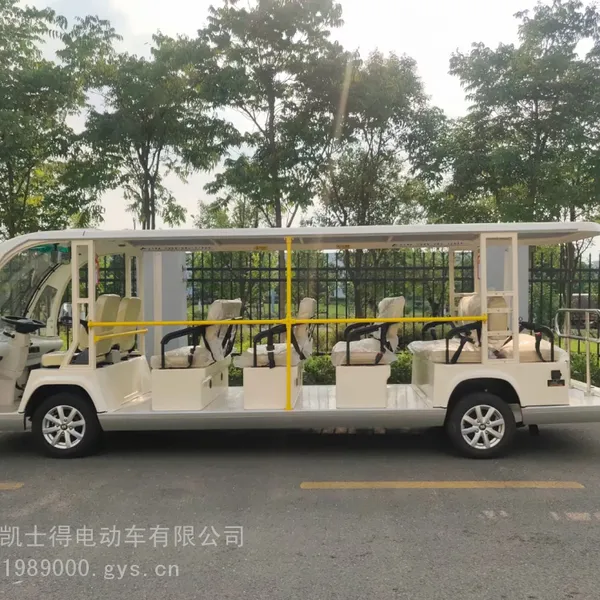 上海20座电动校车价格,苏州利凯士得厂家直销