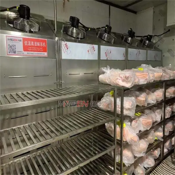 供应低温高湿解冻机猪肉解冻库牛肉缓化库畜类内脏杂品解冻设备