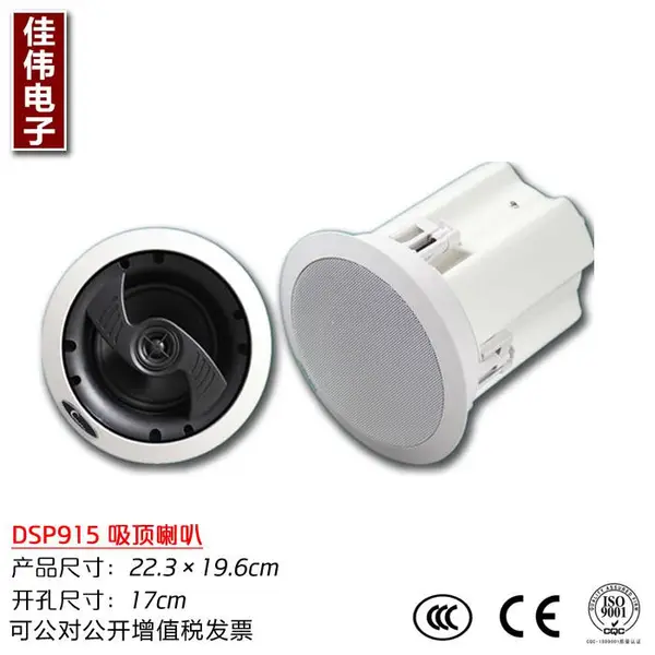 好音质天花喇叭 20W大功率吸顶音响 会所 酒店 高低音背景音乐音箱DSPPA迪士普