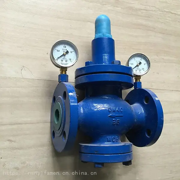 200X����ּ�ѹ�� ��ѹ��ѹ��ˮ��ѹ�� 200X-10P DN200 304����� �㽭����