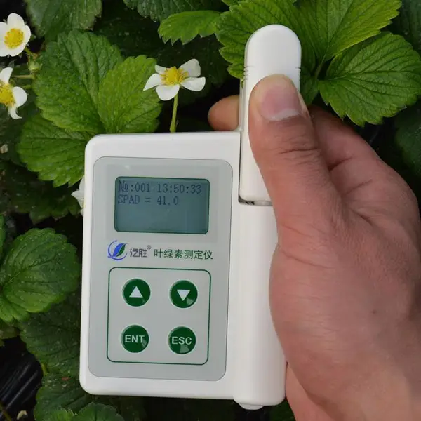 叶绿素测定仪 泛胜 植株营养测定仪 spad植物养分苏测定仪 源头厂家