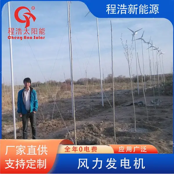 兰 州 程浩供应武 威民 勤沙漠治理 10kw风光互补发电系统