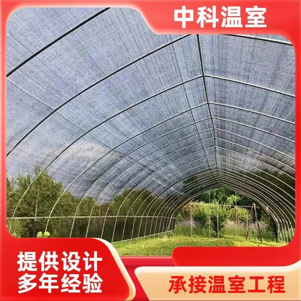 河池南丹 大棚蔬菜种植 中科智能温室 可选温控设备 ZKND-03
