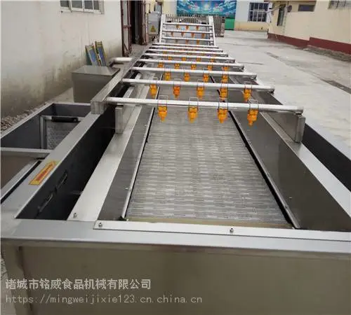 水果清洗机 气泡式洗果机厂家