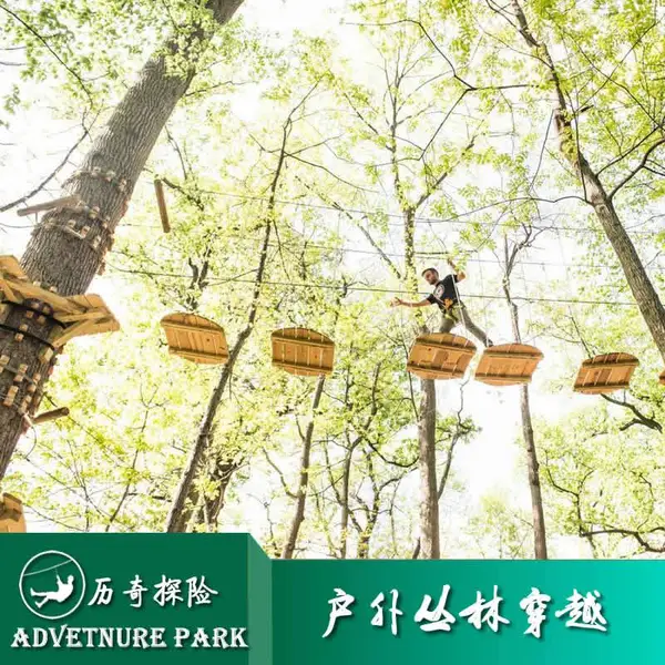 景区空中无动力设施 丛林穿梭 户外亲子游玩设备