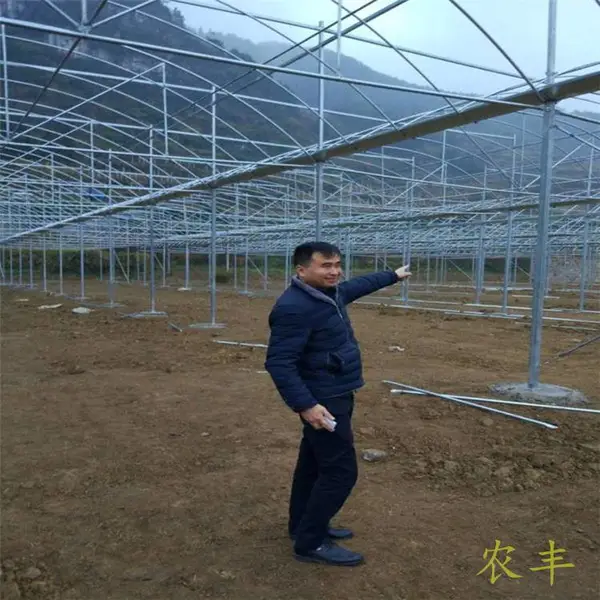 龙岩葡萄连体大棚栽培种植 红美人连栋大棚单价 桔子树遮阳网大棚