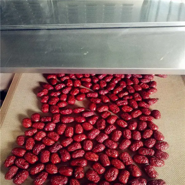 微波杀菌干燥机 坚果干果除虫卵设备 黑水虻烘干杀菌处理机