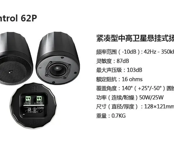 CONTROL 60系列吸顶悬挂吊球音响背景音乐餐厅咖啡厅展馆天花喇叭
