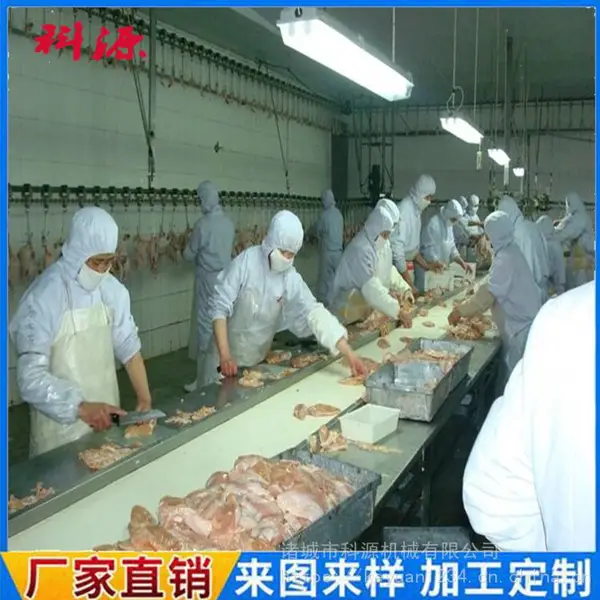 鸽子流水线生产厂家 家禽屠宰设备生产厂家