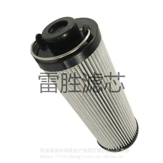 风电齿轮箱滤芯EET002-10F10W25B风力发电机滤芯 雷胜 可定制