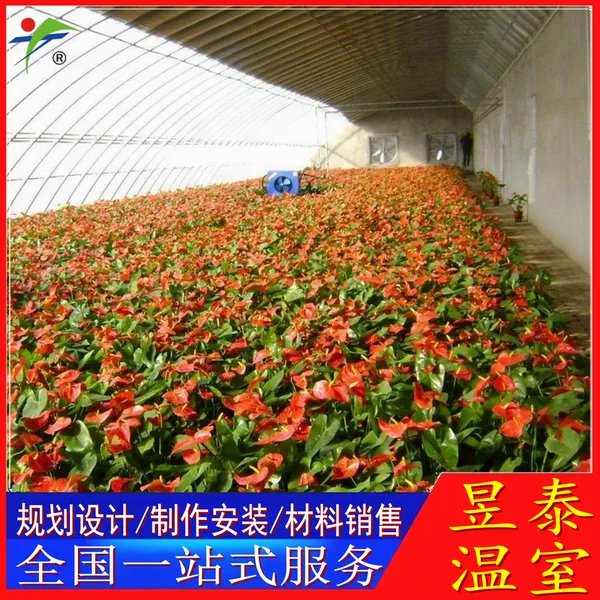 昱泰日光温室保温暖棚薄膜覆盖棉被保温蔬菜大棚YTWSRG1521