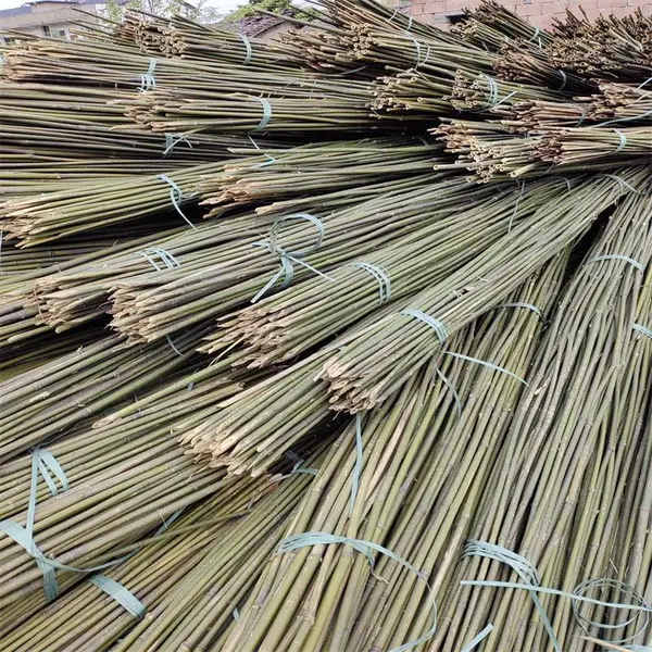 搭架竹竿 菜园专用 2米 粗1.5厘米 去皮 豆角架杆 现货批发