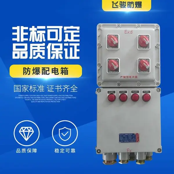 飞骏 水泥厂防爆照明动力配电箱 防爆箱厂家 DZ47