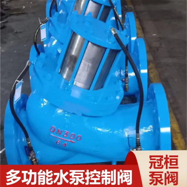 ˮϵͳ�ܵ�DY30AX-16C DN150�������ն๦��ֹ�ط�ˮ�����Ʒ�