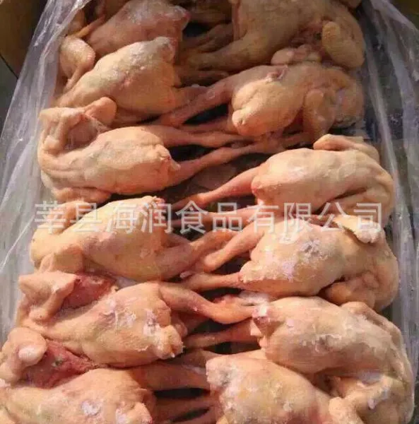 ��Ӧ�ٶ����Ƽ�