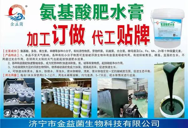 水产养殖专业肥水培藻产品益菌肥水膏益菌肥水培藻膏金山水产厂家供应