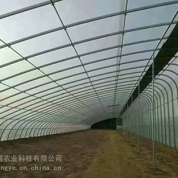 日光温室使用方法详情 日光温室大棚建设 日光大棚设计 贝塔农业
