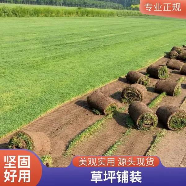 家庭庭院设计铺装草坪基地别墅花园设计户外草坪铺装海淀
