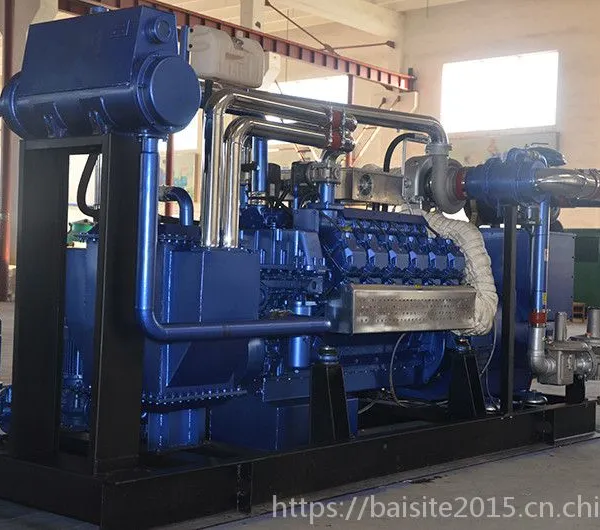 ������ˮ��������500KW��������� �������ʹ����ȵ�����ȼ������
