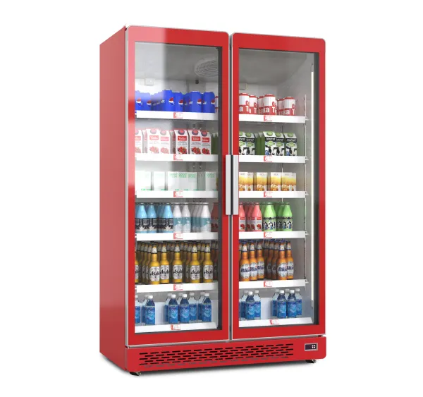 摩雪饮料柜网红酒水展示柜冷藏保鲜柜啤酒柜双门商用冰柜出口冷柜