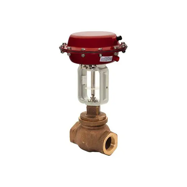 ����BADGER METER�����ͺ�1004GCN36EVOP60P36