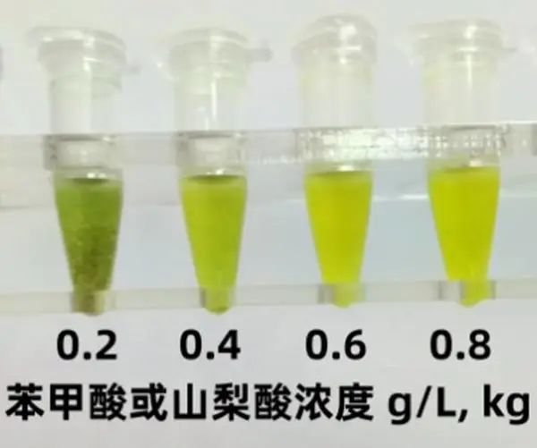 预制菜防腐剂苯甲酸速测盒10次/盒