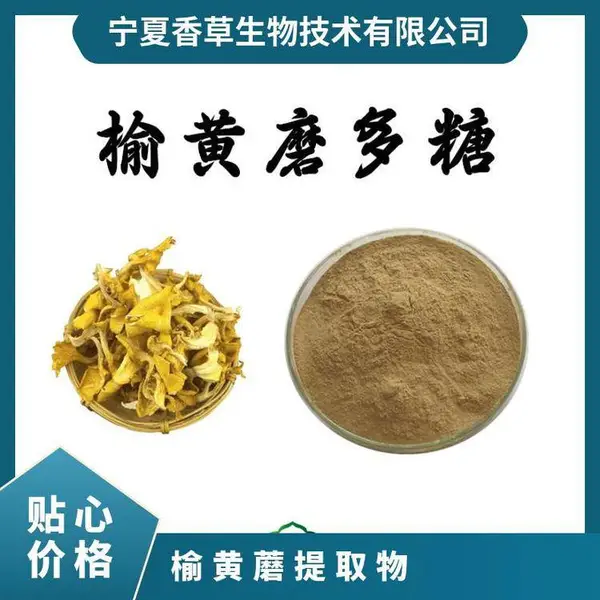 榆黄蘑多糖 98% 原粉 100目 金顶侧耳提取物 10: 1 速溶粉 水溶