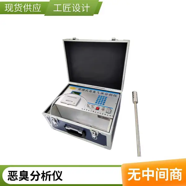 便携式恶臭异味浓度分析仪pAir2000-EFF硫化氢VOCs氨气等气体检测