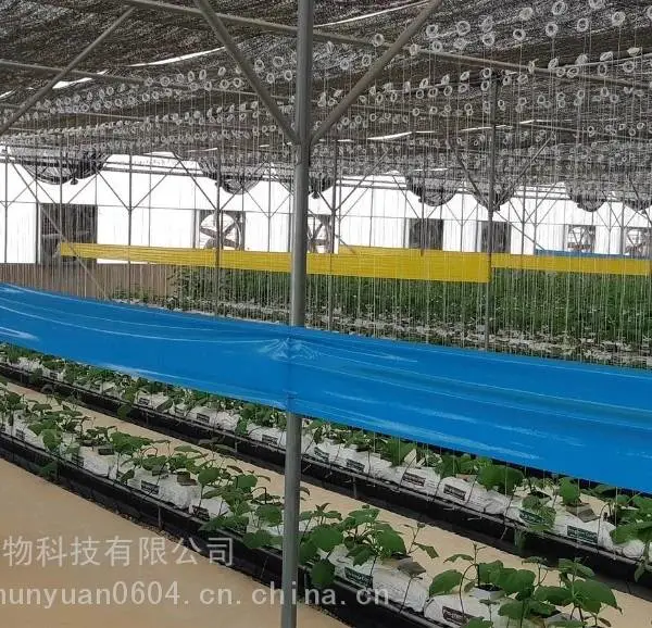 厂家直销蚜虫蚧草履蚧诱虫通用带缠大树粘虫胶布果树树木防虫胶带