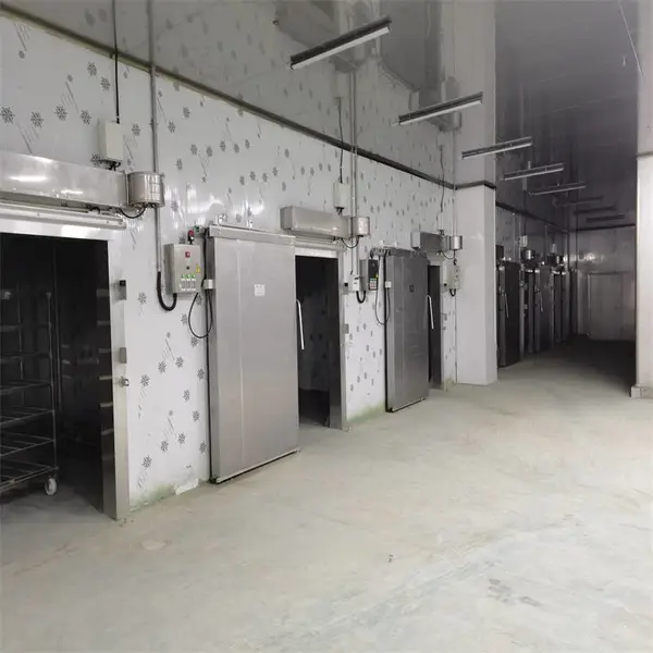 电动冷库门维修 冷库电动门价格 聚氨酯冷库门批发