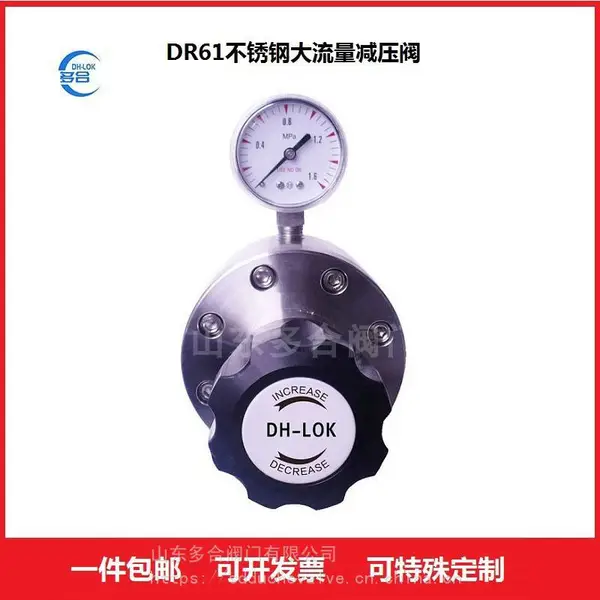 不锈钢气体减压阀DR61膜片式大流量减压器面板式卡套接头压力表