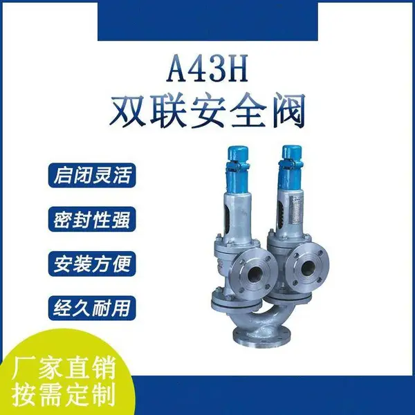 A43H双联 单向 微启式安全阀 弹簧式 铸钢材质南高阀门