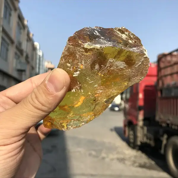 黄松香 湿地松