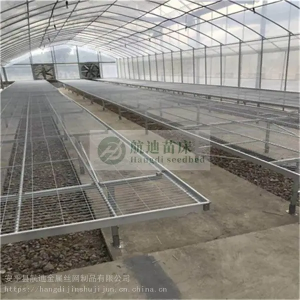 种植固定苗床生产 热镀锌丝径3.0育苗网片加工出售