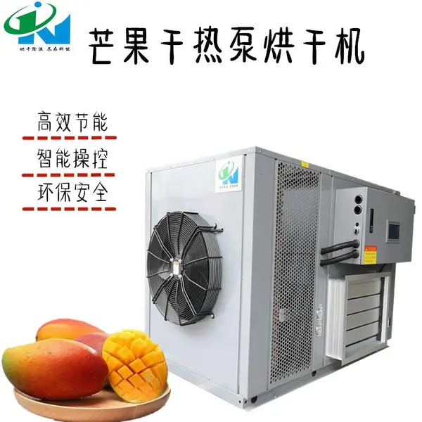 热风循环芒果干烘干箱 厂家直销环保节能烘干设备 食品烘干机