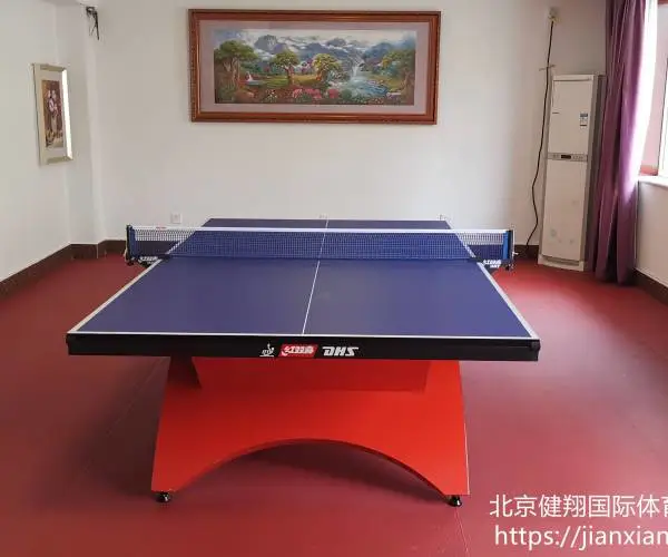 DT508红双喜乒乓球运动地胶