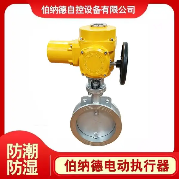 ���ҹ�Ӧ���ɵ����ܷ�綯����DN65 25����Լ�ʽ����