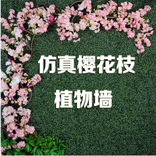 ��ֲǽ���Ϸ���ֲ��ǽװ���������������˹��ڹҼٲ�Ƥ������ǽ