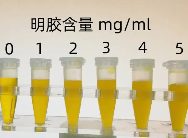 燕窝中亚硝酸盐 明胶快速检测试剂盒