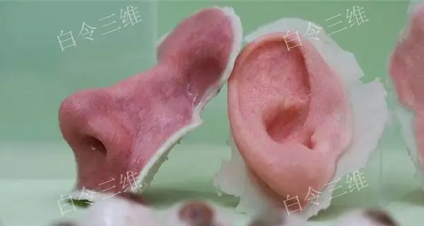 ����***��ҽѧģ�� ��ӭ��ѯ ������ά3D��ӡ��˾��Ӧ